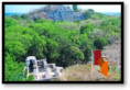 En Campeche, instalan Comité Técnico Estatal para proteger la Selva Maya. 